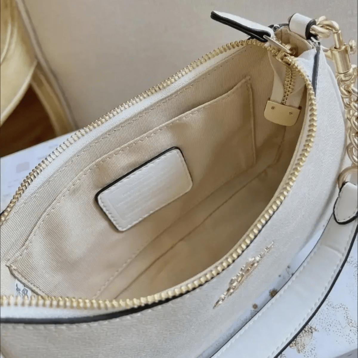 Coach Teri Signature Canvas Tasche