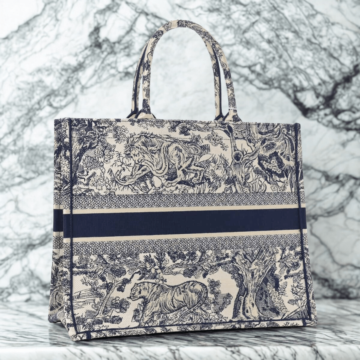 Dior Large Book Tote Tasche